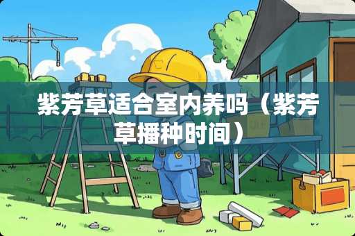 紫芳草适合室内养吗（紫芳草播种时间）