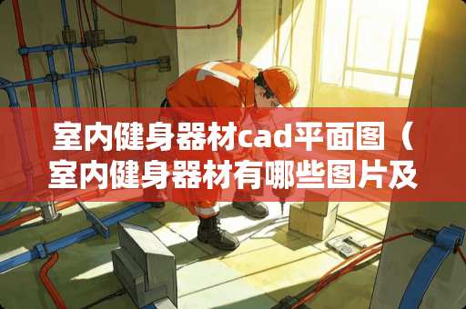 室内健身器材cad平面图（室内健身器材有哪些图片及名称）