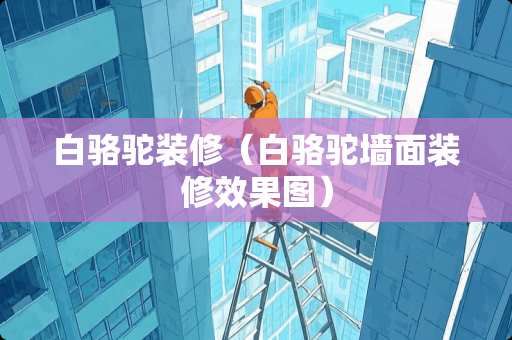 白骆驼装修（白骆驼墙面装修效果图）