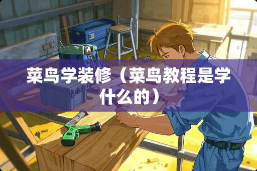 菜鸟学装修（菜鸟教程是学什么的）
