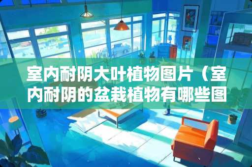 室内耐阴大叶植物图片（室内耐阴的盆栽植物有哪些图片）