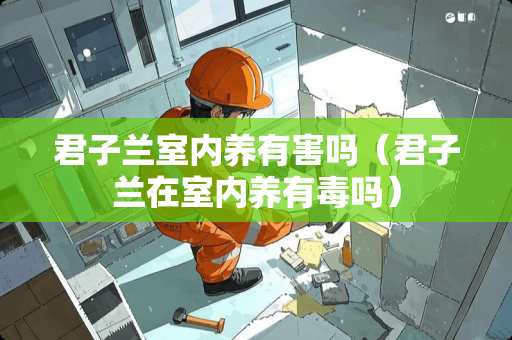 君子兰室内养有害吗（君子兰在室内养有毒吗）
