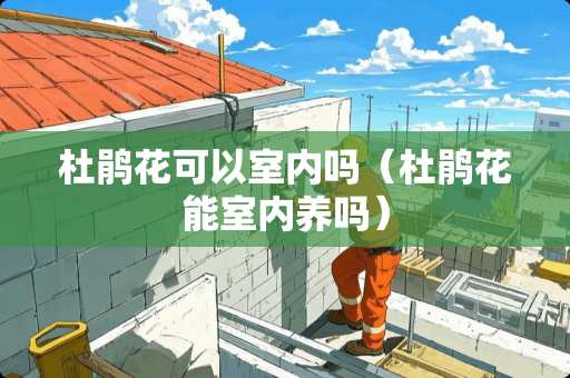 杜鹃花可以室内吗（杜鹃花能室内养吗）
