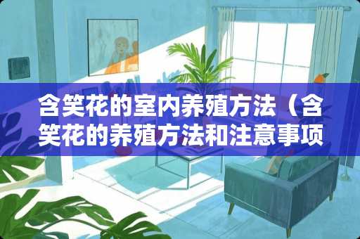 含笑花的室内养殖方法（含笑花的养殖方法和注意事项 盆栽）