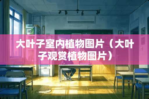 大叶子室内植物图片（大叶子观赏植物图片）
