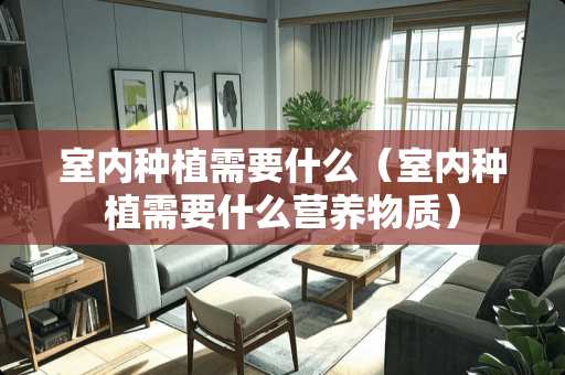 室内种植需要什么（室内种植需要什么营养物质）
