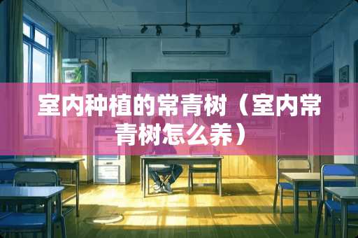 室内种植的常青树（室内常青树怎么养）