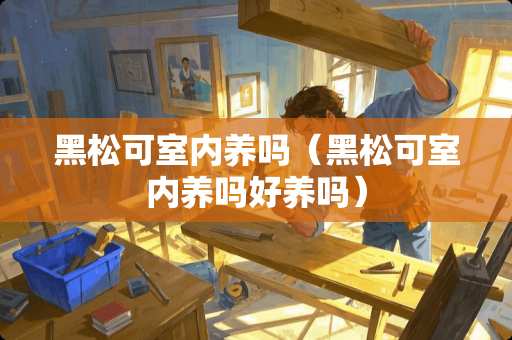 黑松可室内养吗（黑松可室内养吗好养吗）