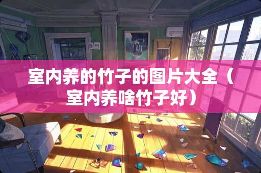 室内养的竹子的图片大全（室内养啥竹子好）