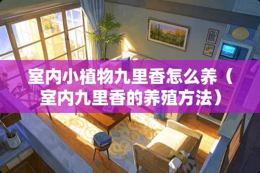 室内小植物九里香怎么养（室内九里香的养殖方法）