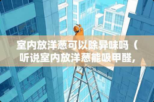 室内放洋葱可以除异味吗（听说室内放洋葱能吸甲醛,是真的吗）
