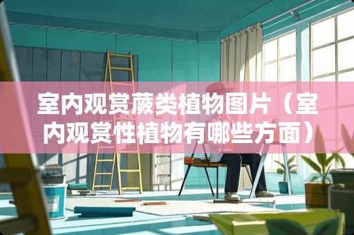 室内观赏蕨类植物图片（室内观赏性植物有哪些方面）