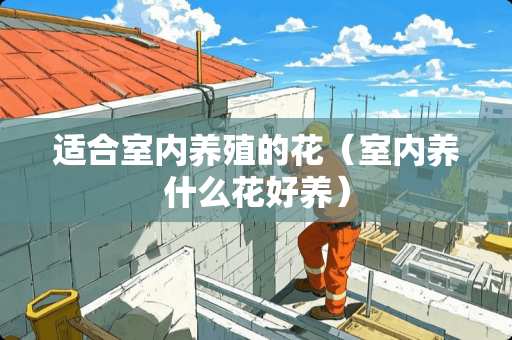 适合室内养殖的花（室内养什么花好养）
