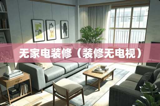 无家电装修（装修无电视）