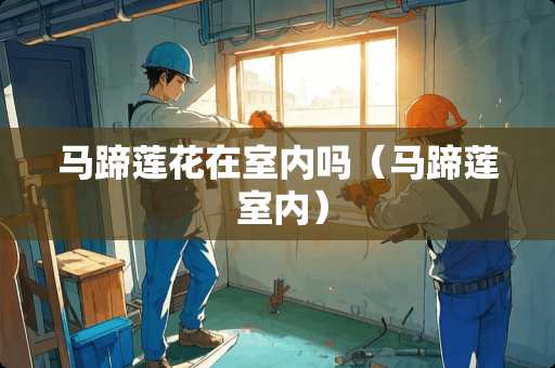 马蹄莲花在室内吗（马蹄莲 室内）