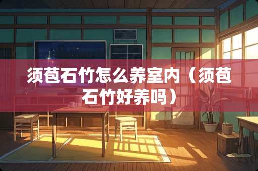 须苞石竹怎么养室内（须苞石竹好养吗）