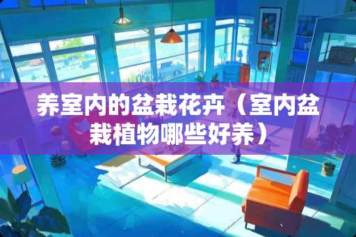 养室内的盆栽花卉（室内盆栽植物哪些好养）