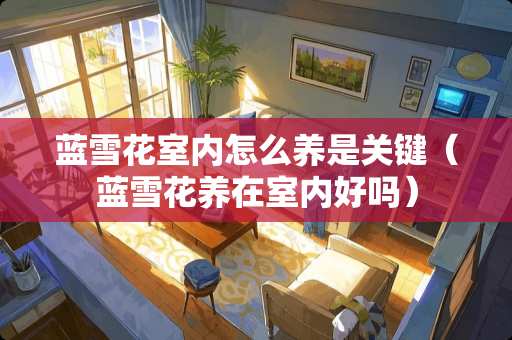 蓝雪花室内怎么养是关键（蓝雪花养在室内好吗）