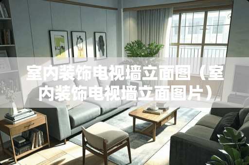 室内装饰电视墙立面图（室内装饰电视墙立面图片）
