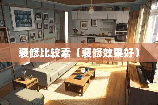 装修比较素（装修效果好）