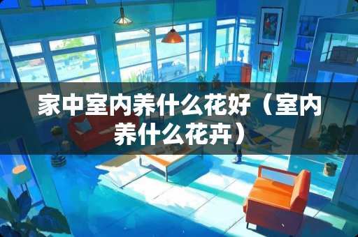 家中室内养什么花好（室内养什么花卉）