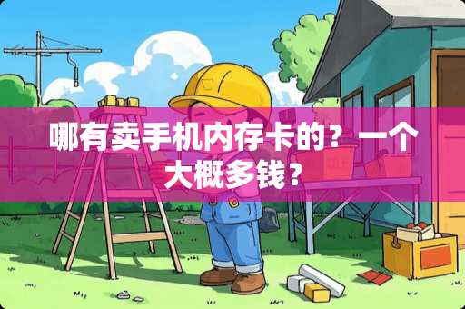 哪有卖手机内存卡的？一个大概多钱？