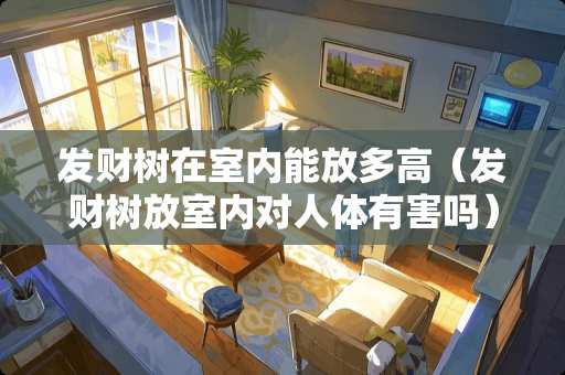 发财树在室内能放多高（发财树放室内对人体有害吗）