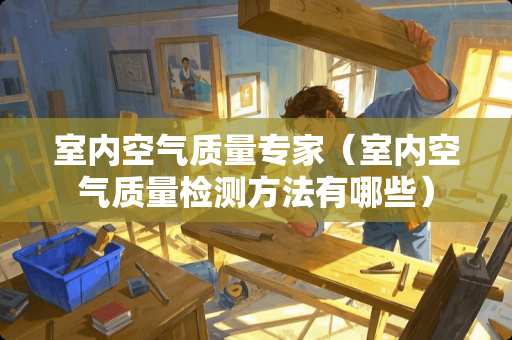 室内空气质量专家（室内空气质量检测方法有哪些）