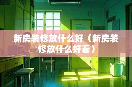 新房装修放什么好（新房装修放什么好看）