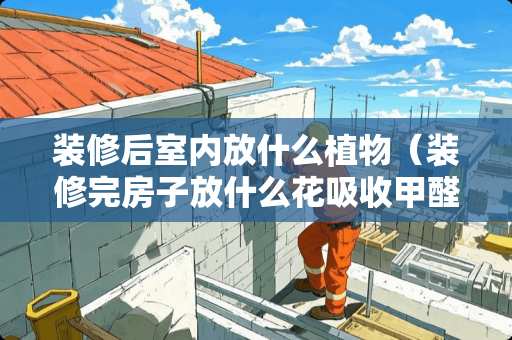 装修后室内放什么植物（装修完房子放什么花吸收甲醛）