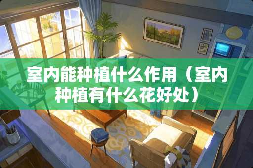 室内能种植什么作用（室内种植有什么花好处）