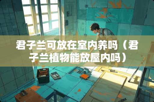 君子兰可放在室内养吗（君子兰植物能放屋内吗）