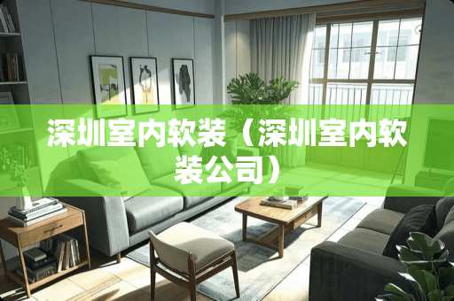 深圳室内软装（深圳室内软装公司）