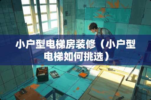 小户型电梯房装修（小户型电梯如何挑选）