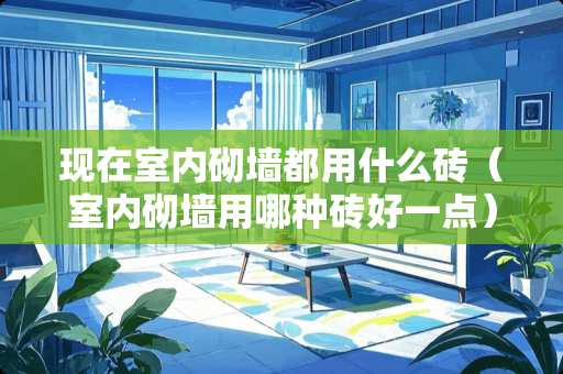 现在室内砌墙都用什么砖（室内砌墙用哪种砖好一点）