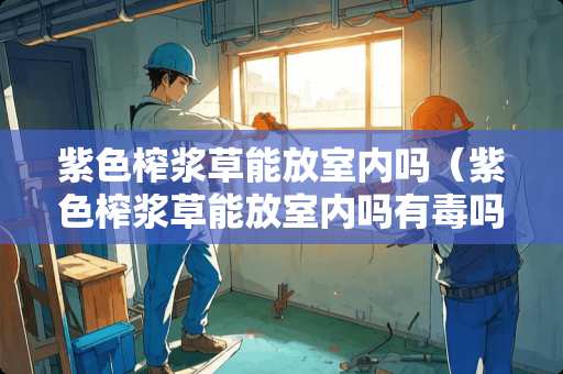 紫色榨浆草能放室内吗（紫色榨浆草能放室内吗有毒吗）