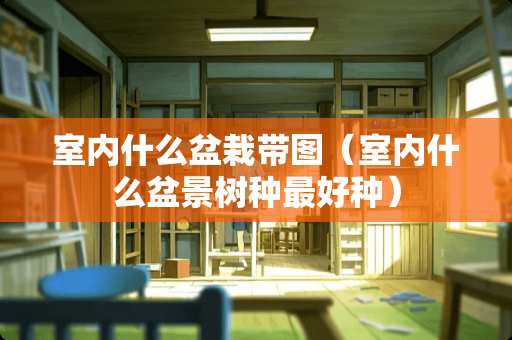 室内什么盆栽带图（室内什么盆景树种最好种）