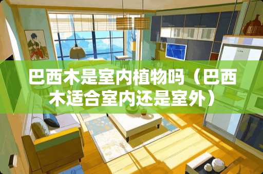 巴西木是室内植物吗（巴西木适合室内还是室外）