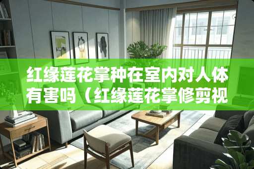 红缘莲花掌种在室内对人体有害吗（红缘莲花掌修剪视频）