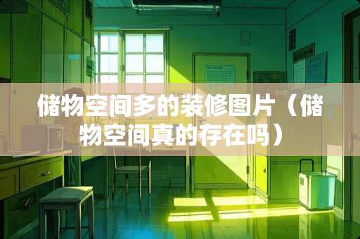 储物空间多的装修图片（储物空间真的存在吗）