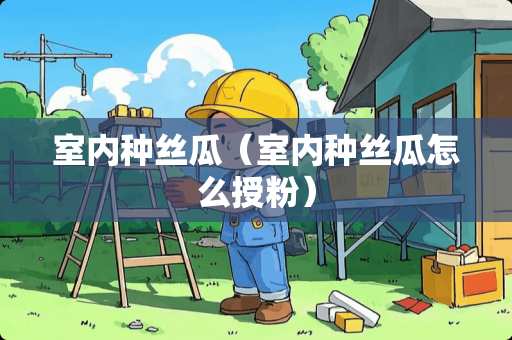 室内种丝瓜（室内种丝瓜怎么授粉）