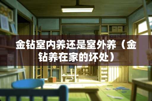 金钻室内养还是室外养（金钻养在家的坏处）