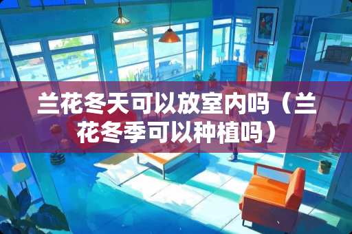 兰花冬天可以放室内吗（兰花冬季可以种植吗）
