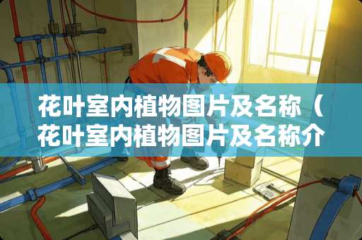 花叶室内植物图片及名称（花叶室内植物图片及名称介绍）