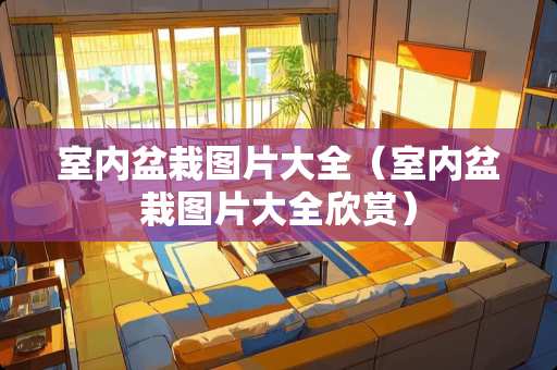 室内盆栽图片大全（室内盆栽图片大全欣赏）