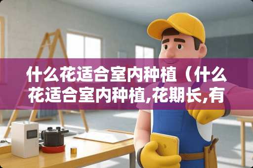 什么花适合室内种植（什么花适合室内种植,花期长,有淡淡的香味）