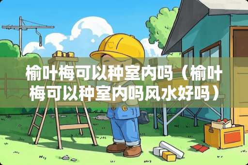 榆叶梅可以种室内吗（榆叶梅可以种室内吗风水好吗）