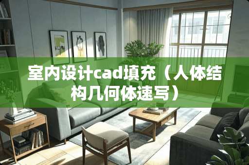 室内设计cad填充（人体结构几何体速写）