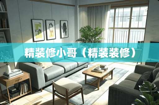 精装修小哥（精装装修）