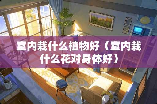 室内栽什么植物好（室内栽什么花对身体好）